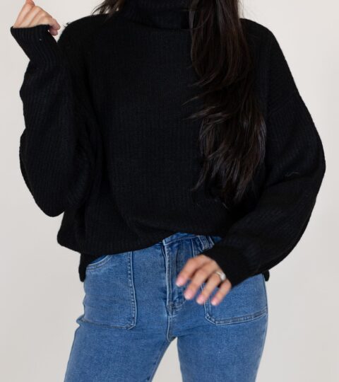 Shea Turtleneck Sweater | Black