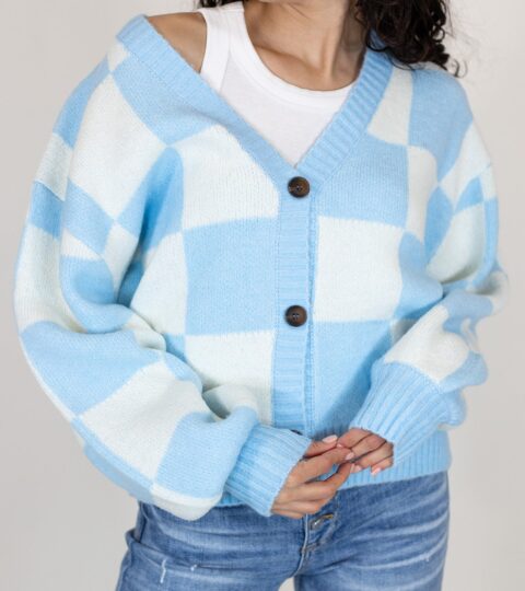 Rails Checkered Cardigan | Baby Blue