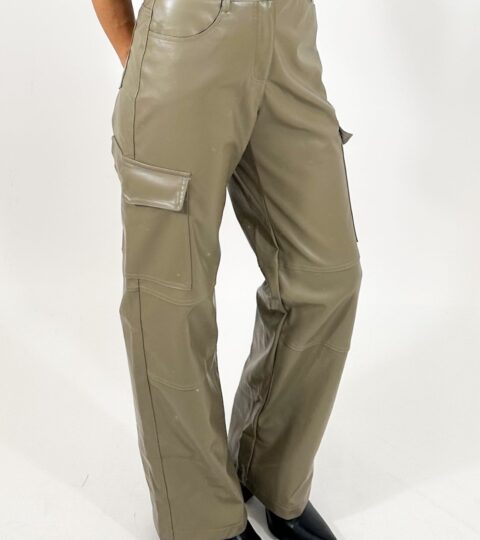 Banks Faux Leather Cargo Pants | FINAL SALE